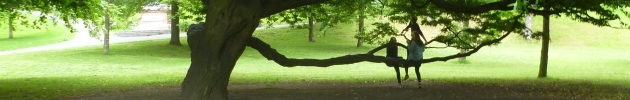 Play_Hornbeam
